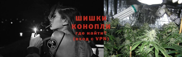 сатива Пересвет