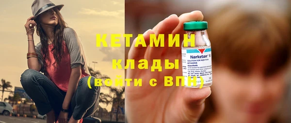 сатива Пересвет