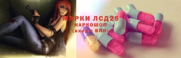 сатива Пересвет