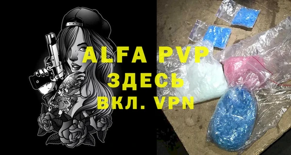сатива Пересвет