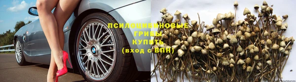 прущий лед Пестово